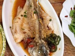 -东鸽皇(奥园·中环广场店)
