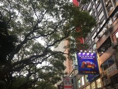-九龙公园