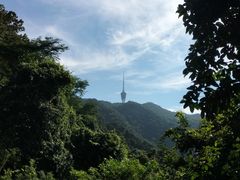 -梧桐山风景名胜区