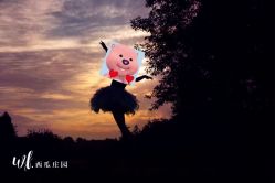 -西瓜庄园儿童摄影