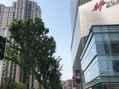 -TESLA 特斯拉(郑州正弘城体验店)