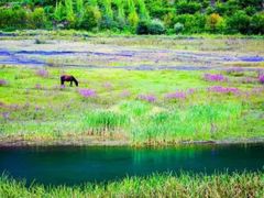 -叠溪松坪沟景区