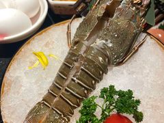 -牛New寿喜烧(闵行龙湖天街店)