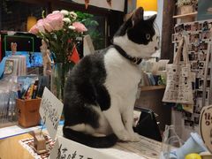 -猫的天空之城概念书店(杭州南宋御街店)