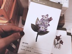 -风雨书店(下城店)