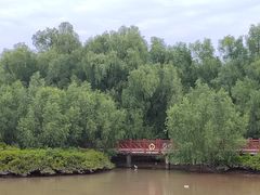-大亚湾红树林城市湿地公园