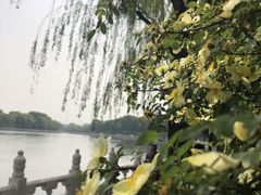 -后海公园