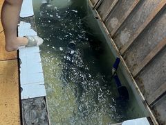 -喜运来酒楼(江南大道店)