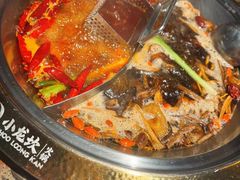 -小龙坎火锅(东汇城店)