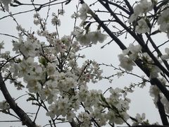 -堤角公园