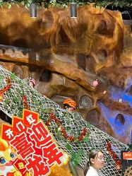 -探洞工场(丹尼斯7天地店)