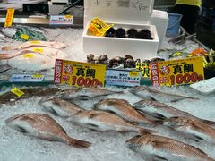 -海鮮寿司とれとれ市場