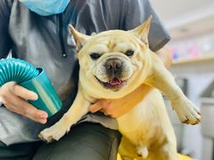 -爱派特动物医院·全科诊疗中心