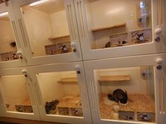 -龙猫仔乐园(惠福东路店)