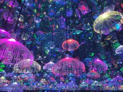 -天津梵高星空艺术馆(天河城旗舰店)