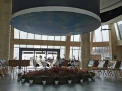 -盐城丹顶鹤湿地生态旅游区