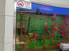 -雅悦齿科(顾村公园店)