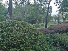 -浙江省杭州高级中学(贡院校区)