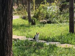 -雪山彩虹谷景区