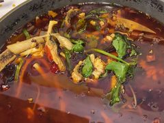 -重庆乌鱼庄·龙滋鲜(青羊大道店)