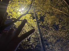 -辣盆盆麻辣小龙虾(哈尔滨总店)