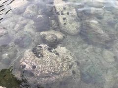 -西涌国际滨海旅游区