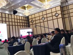 -圣爵菲斯大酒店(长沙世界之窗店)