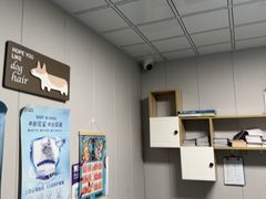-半岛宠物医院24小时(科华中路店)