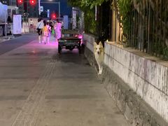 -豆舞咖啡(民乐路店)