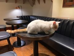 -星巴克臻选(思南公馆店)