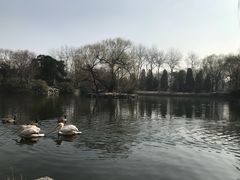 -小莫餐厅And More Restaurant西餐(北京展览馆店)