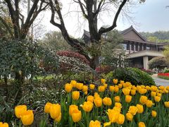 -杭州花家山庄