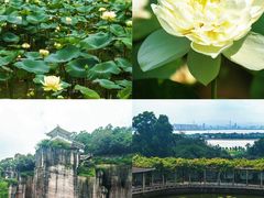 -广州莲花山旅游区