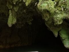 -怀托摩萤火虫洞