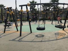 -枫香湖儿童公园