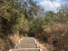 -青龙山国家森林公园