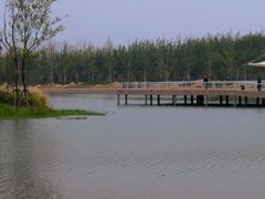 -新江湾城公园