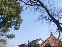 -西泠印社