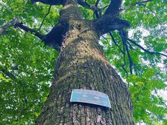 -终南山南五台景区