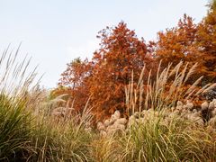 -长广溪湿地公园
