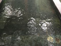 -嘉和K6温泉微度假