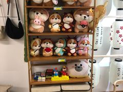 -柴迷FANS CLUB·柴犬狗咖·猫咖