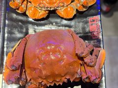 -红盔甲·小龙虾(定西路店)