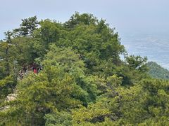 -西安祥峪森林公园