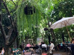 景观位-Fern Forest Cafe