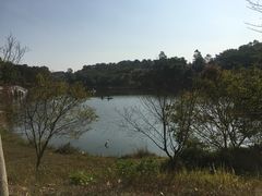 -金山植物公园