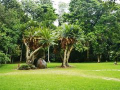 -中国科学院西双版纳热带植物园