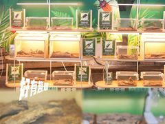 -正佳雨林生态植物园