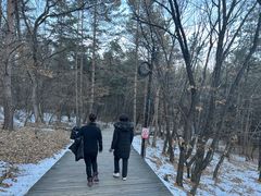 -帽儿山国家森林公园