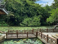 -三亚亚龙湾人间天堂鸟巢度假村
